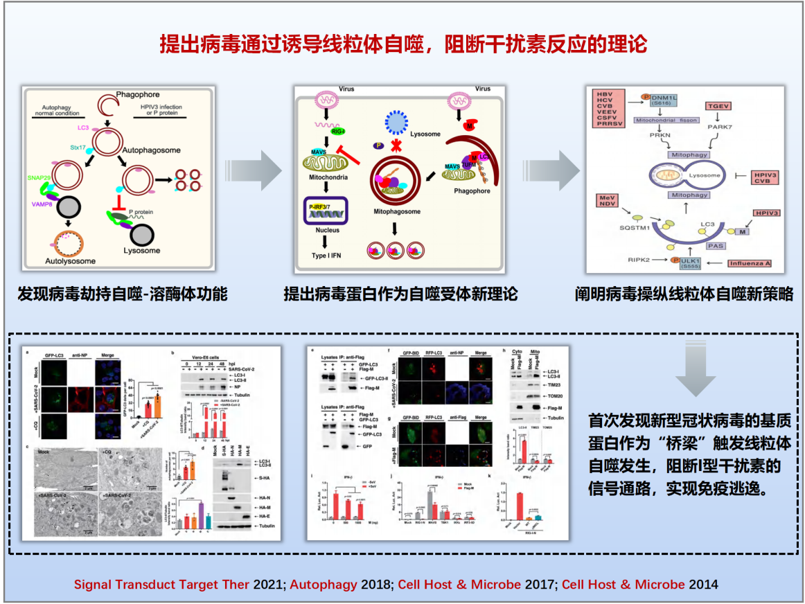 陈明周教授团队科技进展2023-12-12-6666_01(2)